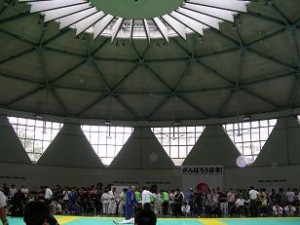 デラヒーバカップ2011光ヶ丘ドーム デラヒーバカップ2011光ヶ丘ドーム