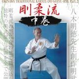 DVD 沖縄伝統空手道剛柔流 中巻 [qs-dvd-kmg-112]