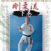 国内DVD　Japanese DVDs/空手/DVD 沖縄伝統空手道剛柔流 下巻