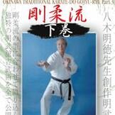 DVD 沖縄伝統空手道剛柔流 下巻 [qs-dvd-kmg-113]