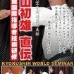 国内DVD　Japanese DVDs/空手/DVD 極真空手道連盟極真館 盧山初雄 直伝 極真館国際指導者技術研修