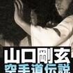 Shinkyokushinkai　新極真会/Protector & Armor　プロテクター&サポーター/DVD 全日本空手道剛柔会創立60周年記念作品 山口剛玄 空手道伝説