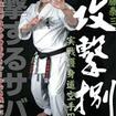 Shinkyokushinkai　新極真会/Protector & Armor　プロテクター&サポーター/DVD 伊藤泰三 攻撃捌 実戦護身道空手円誠塾