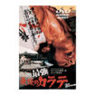 Shinkyokushinkai　新極真会/Protector & Armor　プロテクター&サポーター/DVD 最強最後のカラテ