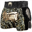 VENUM　ヴェナム/Fight Shorts　ファイトショーツ/VENUM ムエタイショーツ [Absolute] 黒ゴールド