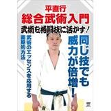 DVD 平直行  総合武術入門 武術を格闘技に活かす！ [qs-dvd-spd-9410]