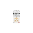 Shinkyokushinkai　新極真会/Protector & Armor　プロテクター&サポーター/SNOW LOTUS スノーロータス 4105mg リバイブスター 10本入