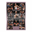Shinkyokushinkai　新極真会/Protector & Armor　プロテクター&サポーター/DVD 全日本キック2008 BEST BOUTS vol.2