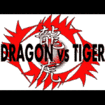 /RYUKO 龍虎 オリジナルパッチ Dragon vs Tigerモデル