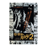 DVD 地上最強のカラテ PART.2 [qs-dvd-spd-1902]