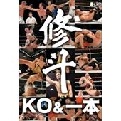 DVD SHOOTO 20th ANNIVERSARY 修斗ＫＯ＆一本